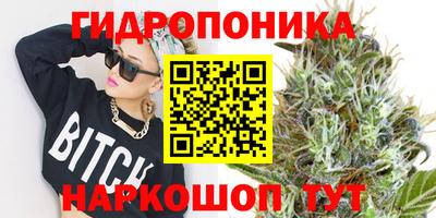 шишки Краснознаменск
