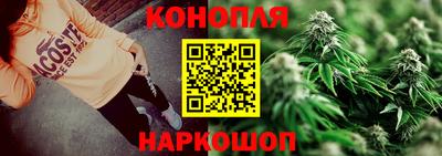 шишки Краснознаменск